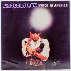 Пластинка Little Steven Voice Of America